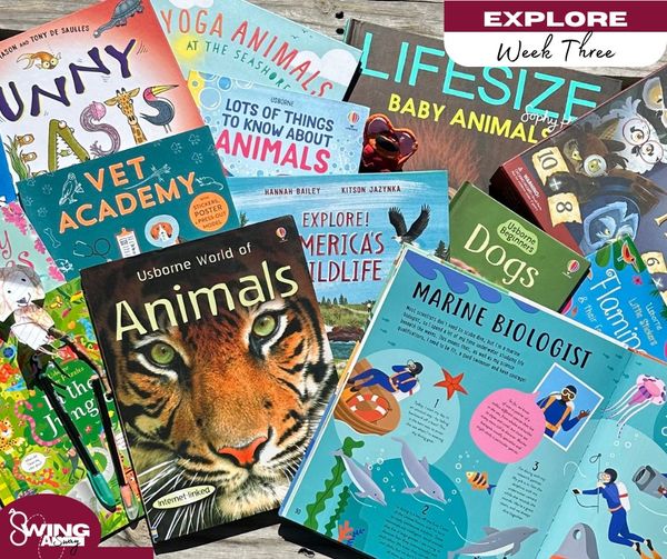 EXPLORE-Jungle Animals!