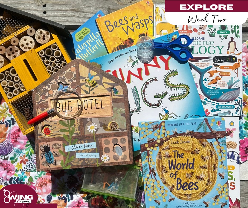 Let’s EXPLORE- BUGS!