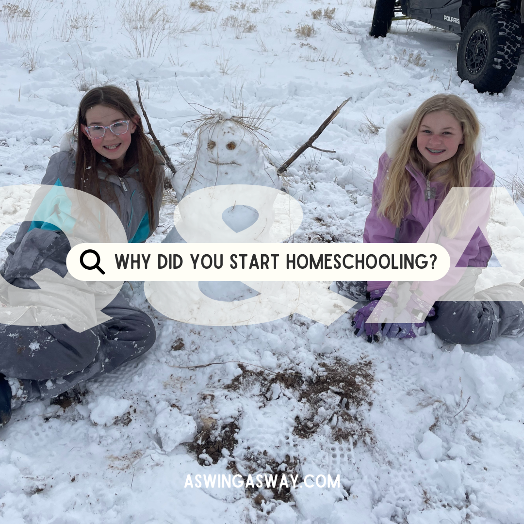 Why did we start homeschool?